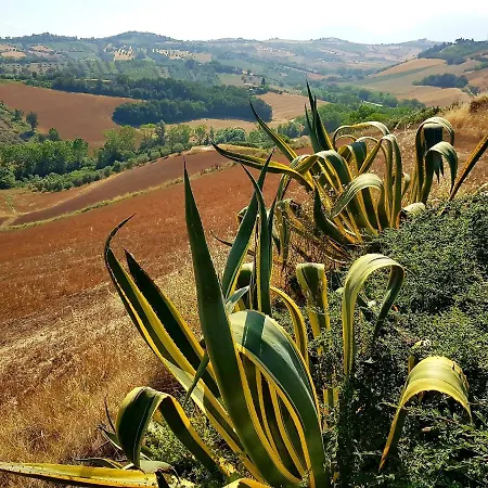 Country-house Pecora Nera * Mosciano SantʼAngelo