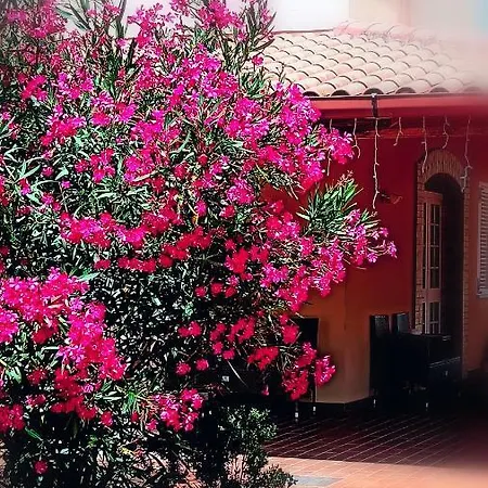Летний дом Country-house Pecora Nera *
